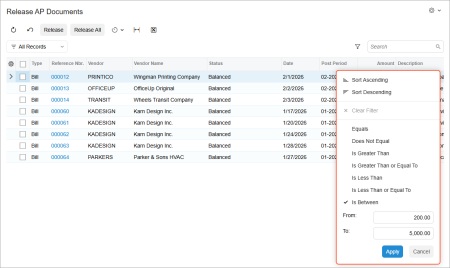 Application of a simple filter to the Amount column